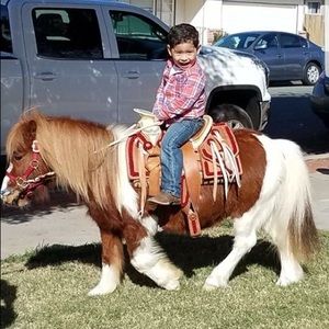 Meet your Posher, Michel